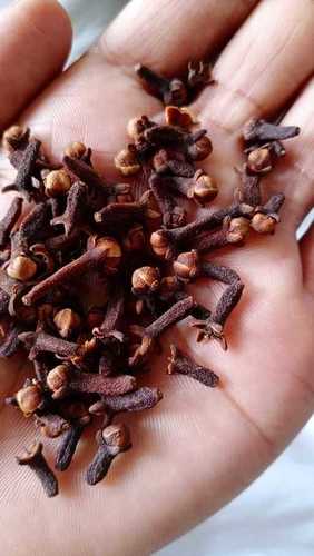 Red/Brown Best Price Natural Dried Clove