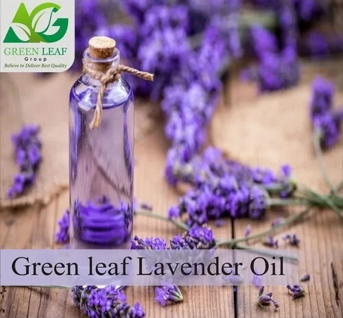 Green Leaf Lavender Oil