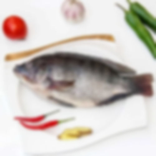 Meat & Poultry Fresh Frozen Tilapia Fish