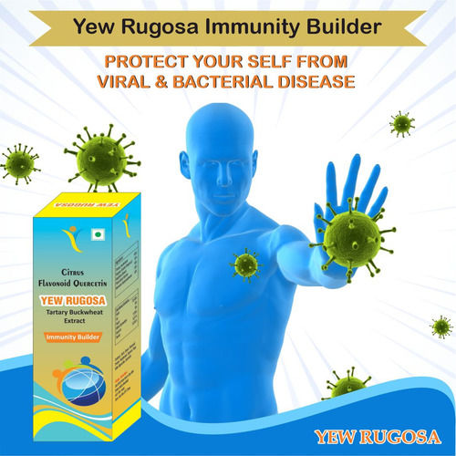 Yew Rugosa Immunity Booster