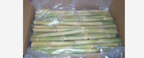 Natural Sugar Cane Stick Pack Type: Carton