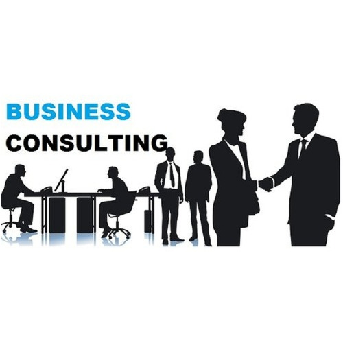 Business Excellence Consultant