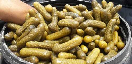 Gherkins with High Nutritional Values