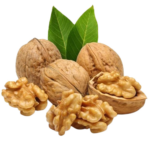 100% Natural Chile Walnuts - Color: Brown