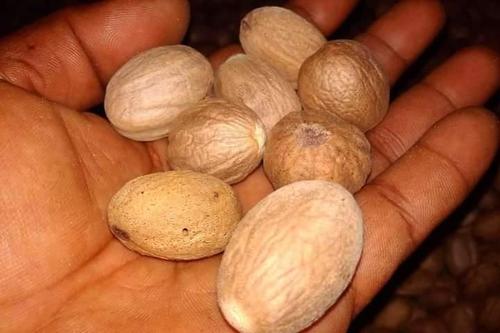 Fresh Brown Nutmeg ( Sulawesi ) Premium Grade