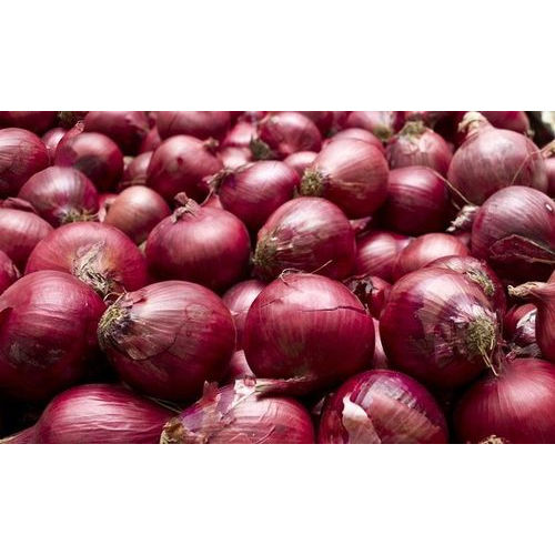 Fresh Red Onion (55 Mm)