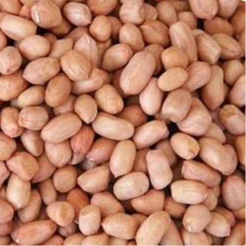 Pure Ground Nut Seeds - Cultivation Type: Common