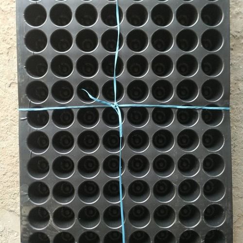 Plastic Coated Black Color Seedling Tray