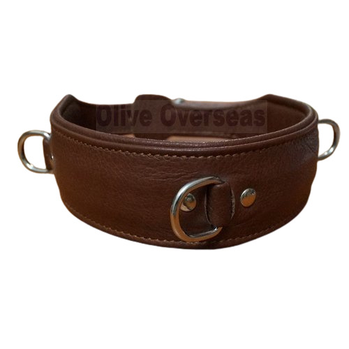 Multicolor Brown Leather Dog Collars With 2 Year Of Life