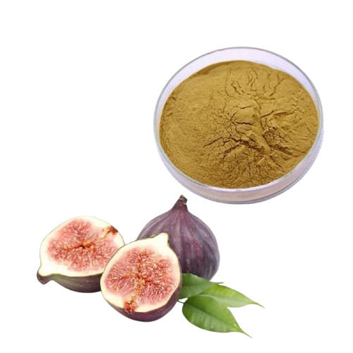 Dried Fig Anjeer Powder