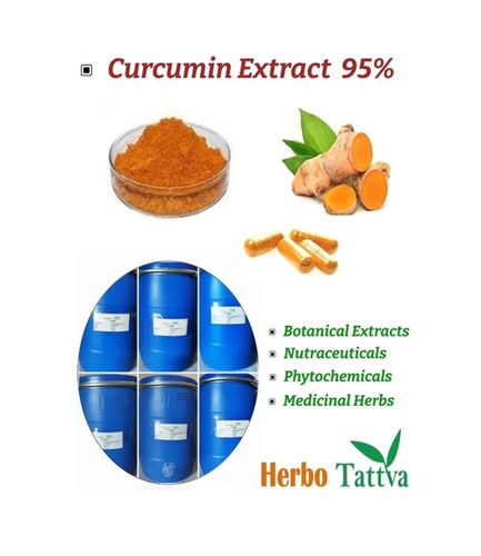 Yellowish Antioxidant And Anti-Inflammatory Dried Curcumin Extract Powder 95%