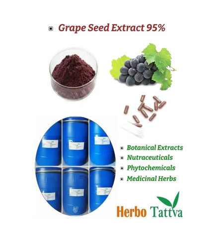 Grape Seed Extract Powder 95% With 24 Months Of Shelf Life
