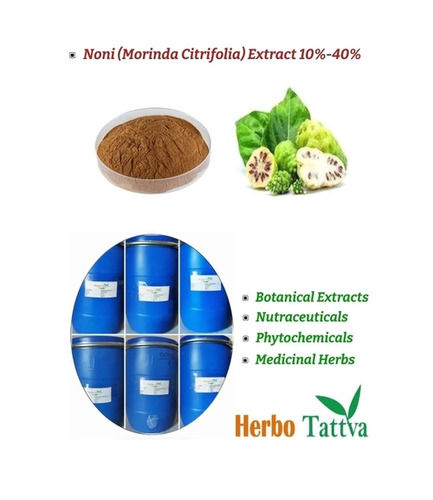 Noni Morinda Citrifolia Extract Powder 10%-40%