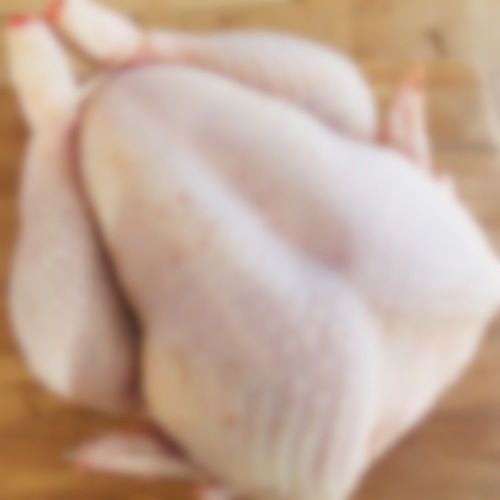 Washed And Clean Premium Quality Frozen Chicken