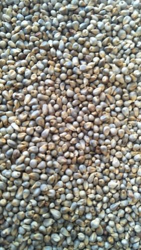 Pure Natural Quality Millet