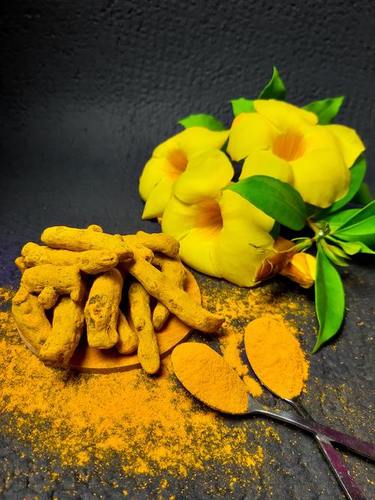 Yellow Turmeric Root Used In Food Grade