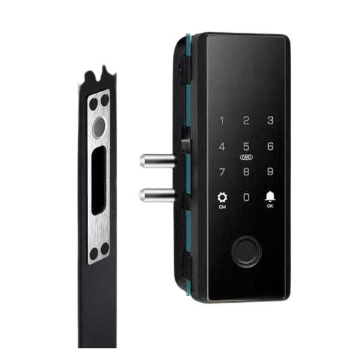 Black Stainless Steel Biometric Glass Door Lock