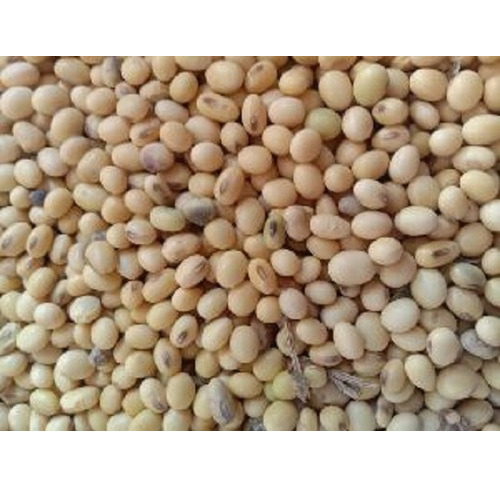 100% Natural Whole Soya Beans - Cultivation Type: Common