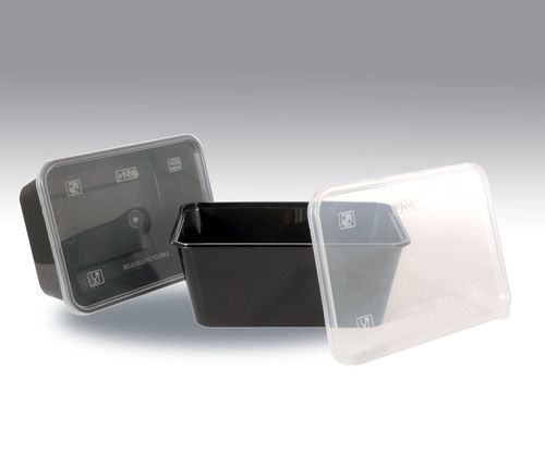Eco Friendly Rectangular Disposable Container For Food