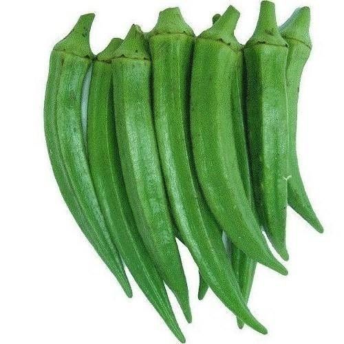 Natural Nutritious And Healthy High In Fiber Organic Fresh Green Okra (Lady Finger)