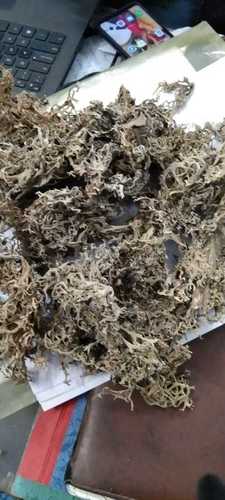Natural And Pure Dried Black Stone Flower For Cooking, Making Spices