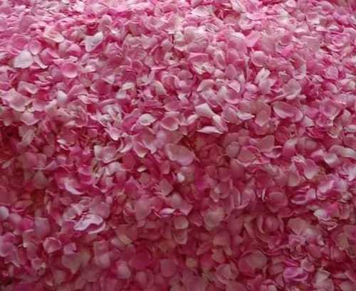 Good Fragrance 100% Natural Dry Rose Petals Pink