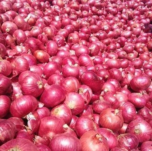 Natural Good Source Of Antioxidants Vitamins Easy To Digest Fresh Onion