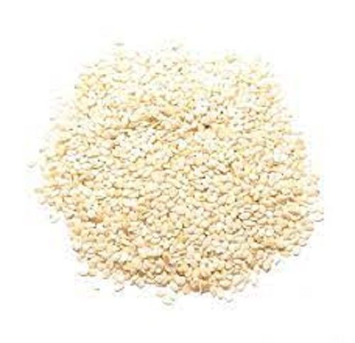  Oil Rich Seed And Rich In Calcium Healthy Sesame Seeds