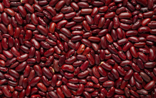 Commonly Cultivated A Grade Raw And Whole Dried Kidney Beans