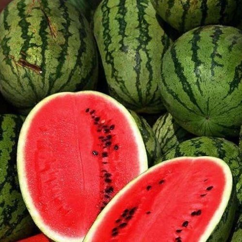 1 Kilogram, Natural Sweet And Delicious Green Watermelon