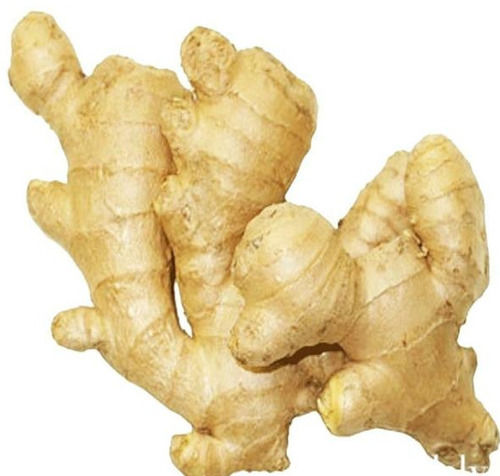 Pure And Natural Raw Fresh Ginger