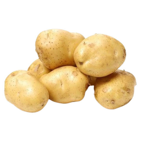 Commonly Cultivated Round Raw Pure And Natural Fresh Potato