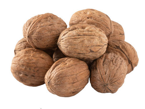 2 Inch 2% Moisture Sweet Flavor Indian Origin Solid Raw Dried Walnut 