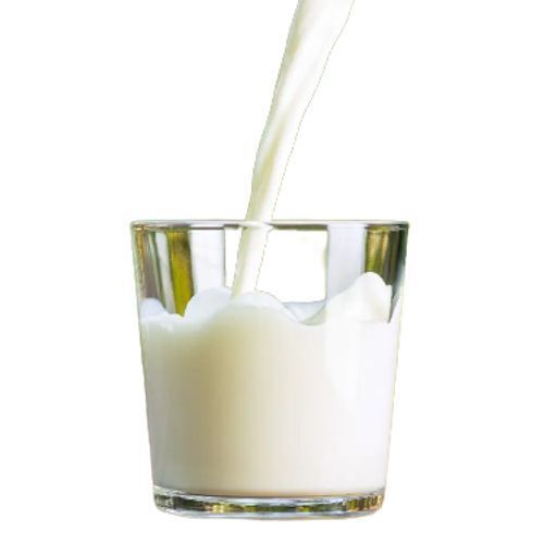 Natural And Healthy Pure Genuine Taste Raw Processed White Buffalo Milk