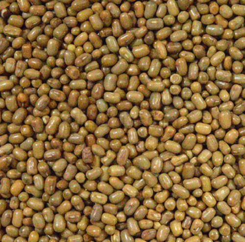 Sunlight Dried Commonly Cultivated Pure And Dried Whole Moong Dal