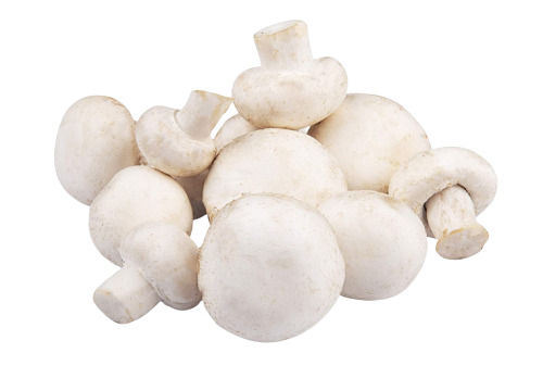 White A Grade Commonly Cultivated Raw And Whole Fresh Mushroom