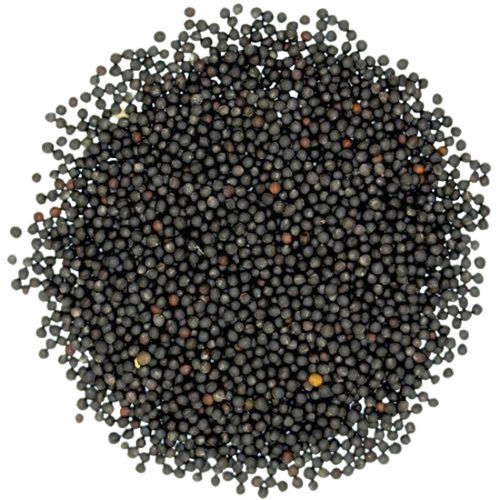 Pure And Natural Commonly Cultivated A Grade Dried Black Mustard Seeds