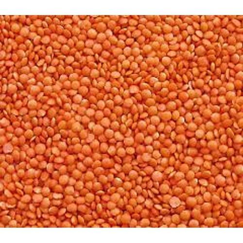 Pink High Nutritious Protein Fibre Soft Red Lentils Priyanka Poojab Done