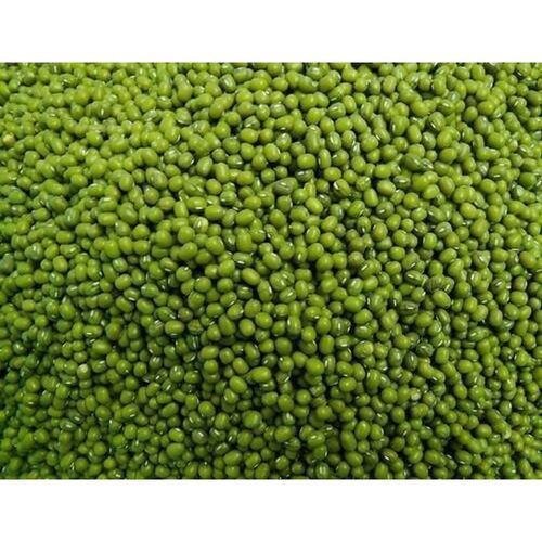 Common High Quality High Protein And Antioxidants Green Moong Seeds