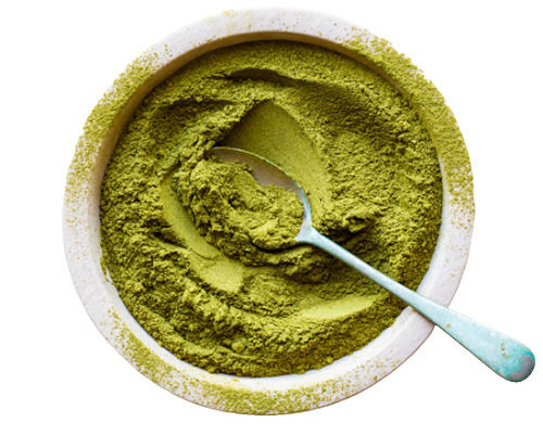 Natural And Pure Medical Grade Herbal Moringa Powder For Protect Tissue