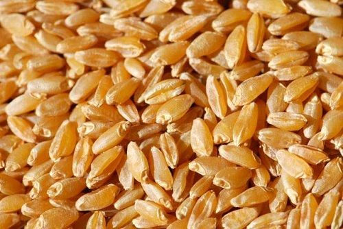 10 Kilograms Food Grade Commonly Cultivated Dried And Natural Wheat Seeds 