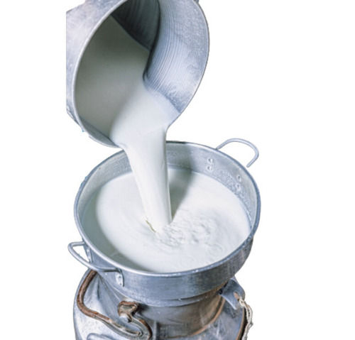  शुद्ध और ताजा प्रोटीन से भरपूर स्वस्थ भैंस का दूध 