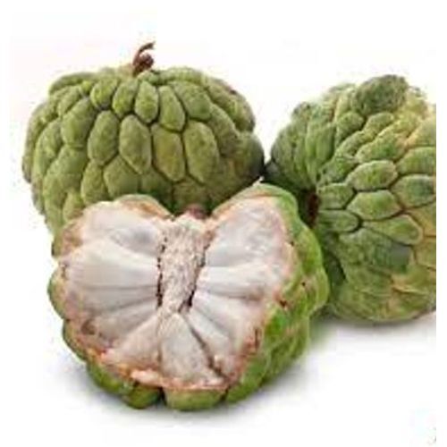 Sweet Green Whole Medium Sized Non Glutinous Commonly Cultivated Custard Apple 