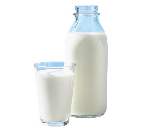 100 % Fresh And Healthy White Original Flavor Organic Cow Milk 