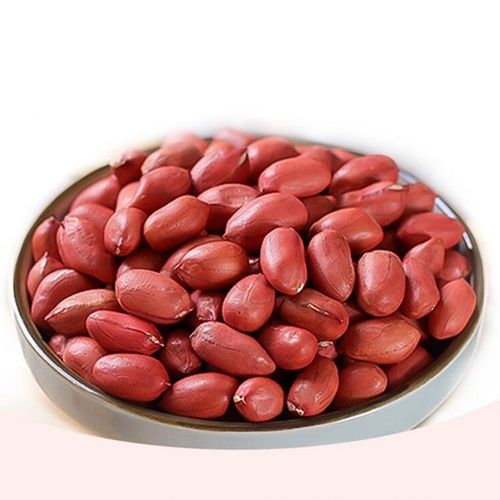 Stainless Steel 5% Moisture 48% Max Oil Content Red Skin Java Peanut For Snacks