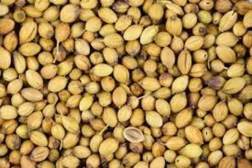 Gluten Free And No Pesticides 100% Vegan Whole Organic Coriander/Dhaniya Seeds Shelf Life: 6 Months