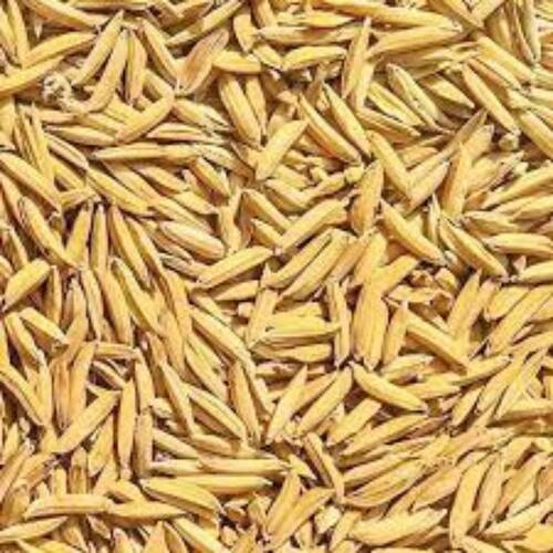 Rich In Fiber Disease Preventive Healthy Natural Minerals Rice Seed Grains