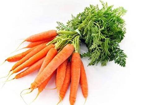 Long Natural And Fresh Healthy For Making Dishes Orignal Grown Orange Carrot