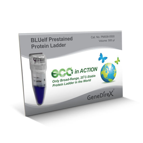 Bluelf Prestained Protein Ladder