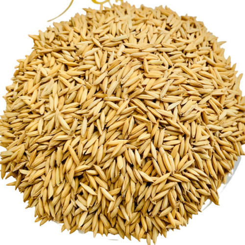 Commonly Cultivated Pure And Dried Paddy Seeds Admixture (%): 5%